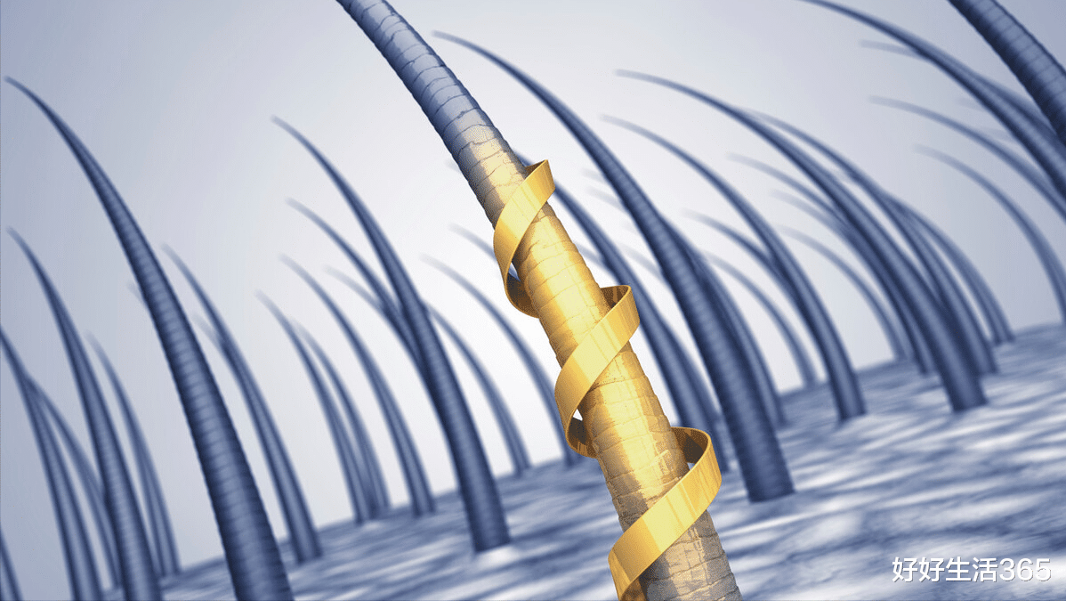 |一男子腹部痒,医生用镊子夹出16只阴虱!原来阴虱有4个传播途径