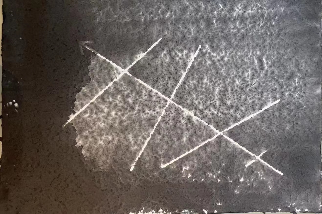 |李晓强——第三抽象纸上意象作品展