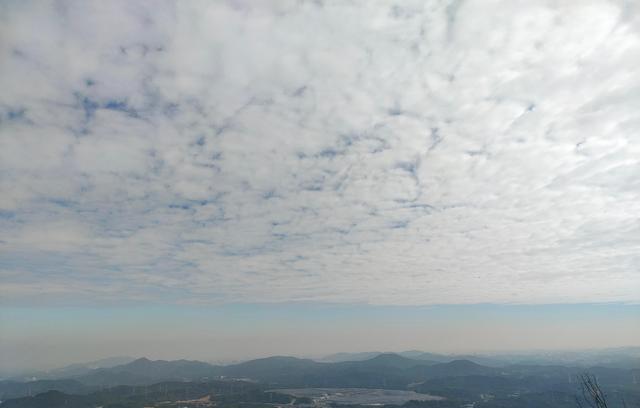 刑警|使命:市公安局曾局长离任前,为何不安排人做办公室主任