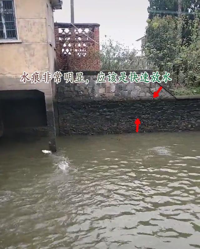 |广西一水闸下鱼群乱跳，甚至有大鱼跳上岸，网友：怕是有大事发生