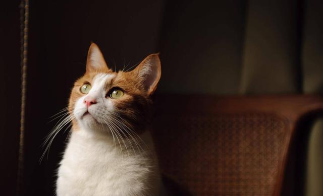 黑丝|一个人是不是富贵命，到40岁左右就能看出来，两个细节很关键