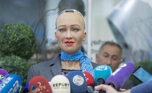 机器人|“妻子机器人”仅售十万元？据说除了生孩子什么都能做，真的吗？