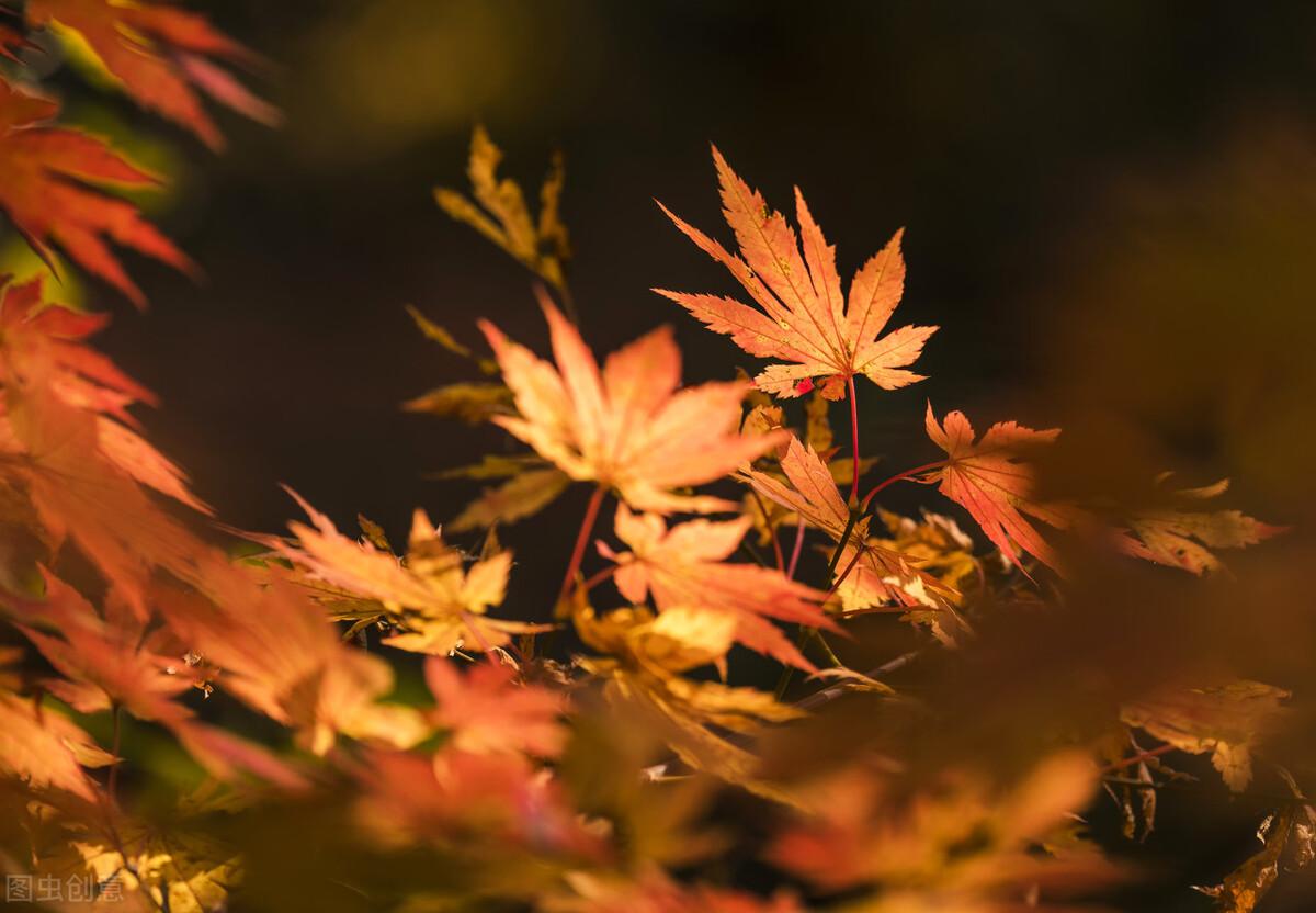 龙门峡|郭进拴|神游关门山