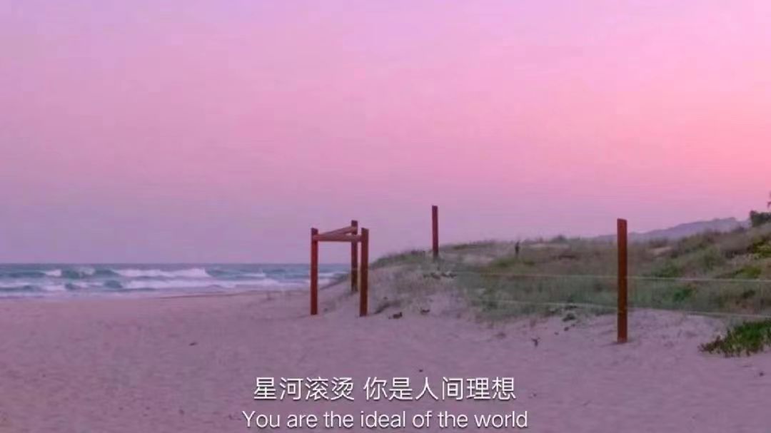 |适合表白的文案