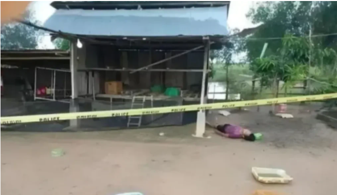 河南南阳,一男子连续多次入户偷鸡,被女主人放鞭炮吓死,家属怒而将女主告上法庭,要求赔偿50万