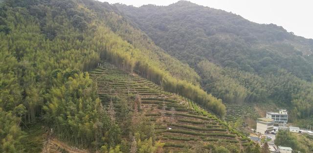 避暑山庄|藏在粤东的古村落，美不亚于天堂，村民们因一叶子致富