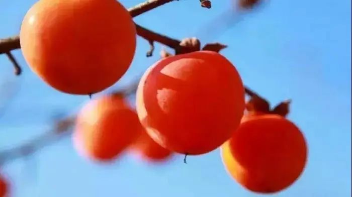 银川|又一国家级荣誉,涉县上榜!为邯郸市唯一