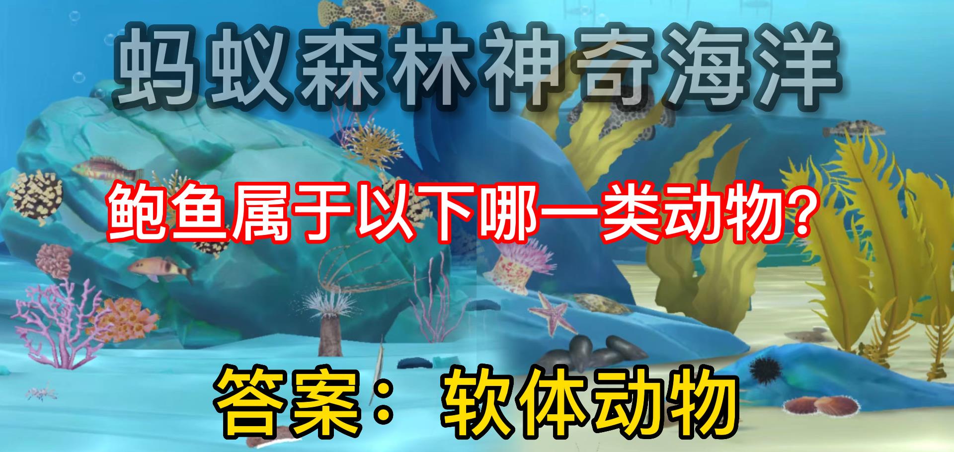 鲍鱼属于哪一类动物?蚂蚁森林神奇海洋