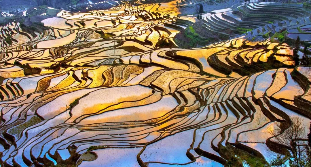 青岛市|青丘缘起，荷海芳华，除了荷花，你还能在普者黑看到什么？