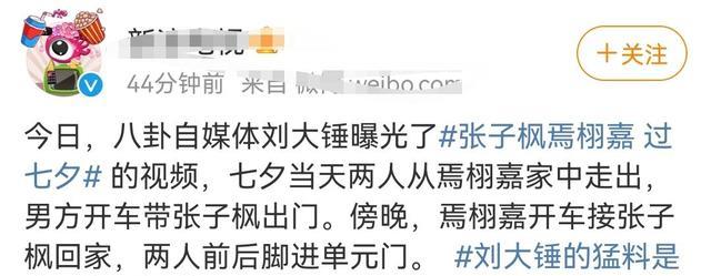 张子枫|孙怡和董子健的感情走到了底,张子枫和焉栩嘉的感情在继续