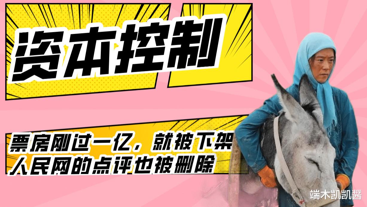 海清|《隐入尘烟》为何被全网下架而不是全网下线？人民网也删除对它的全部点评