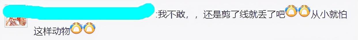 广西男子半夜从西江钓起奇鱼,不敢捉就放生了,网友:错失500