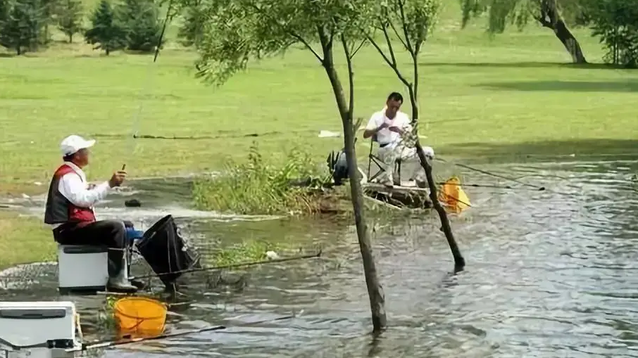 饵料|盛夏钓鱼,没喝完的啤酒别扔,拌入饵料诱鱼超强,效果谁用谁知道