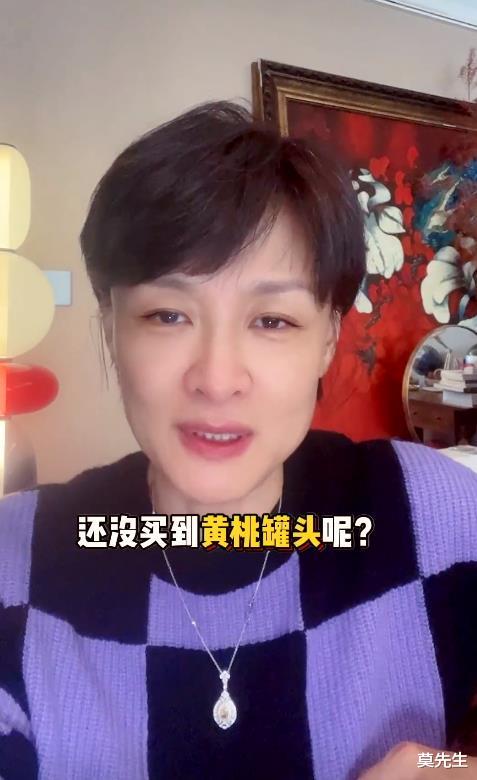 李小萌|央视前主持李小萌被群嘲,张兰霸气反击:公众人物应起到好作用