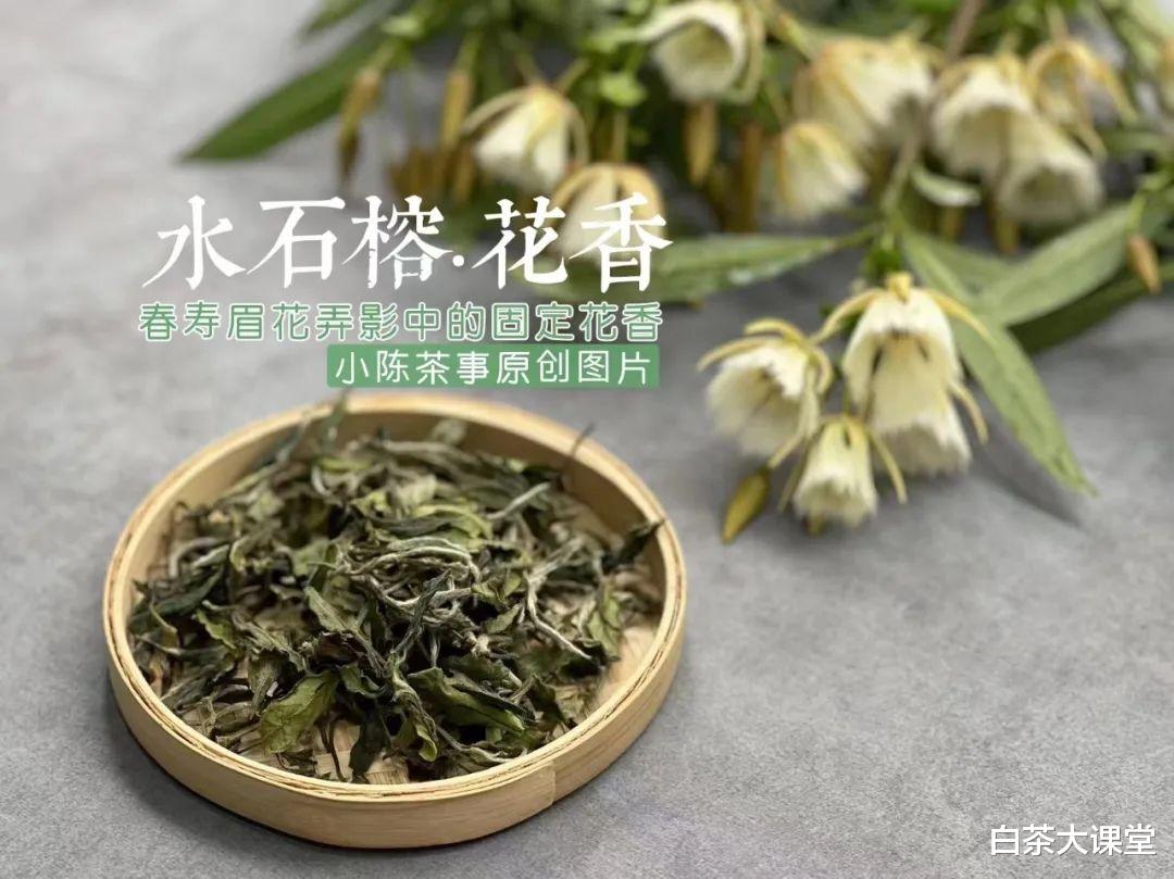 营养膳食|办公室喝白茶,教你3种泡法,简单又实用,夏天喝茶时用得着