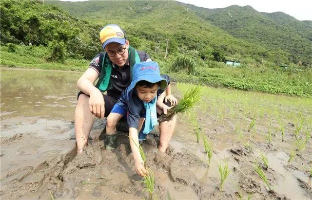 杨紫|两天败光路人缘：郭晶晶新代言、马思纯街头逆行，有人欢喜也有人愁
