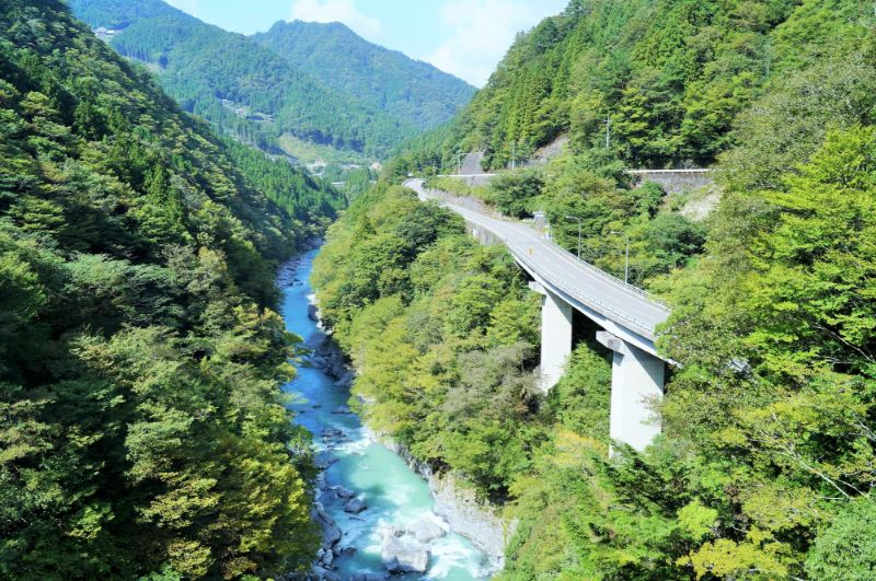旅顺口区|位于日本德岛县的神秘峡谷，带你看看风景如画的祖谷溪