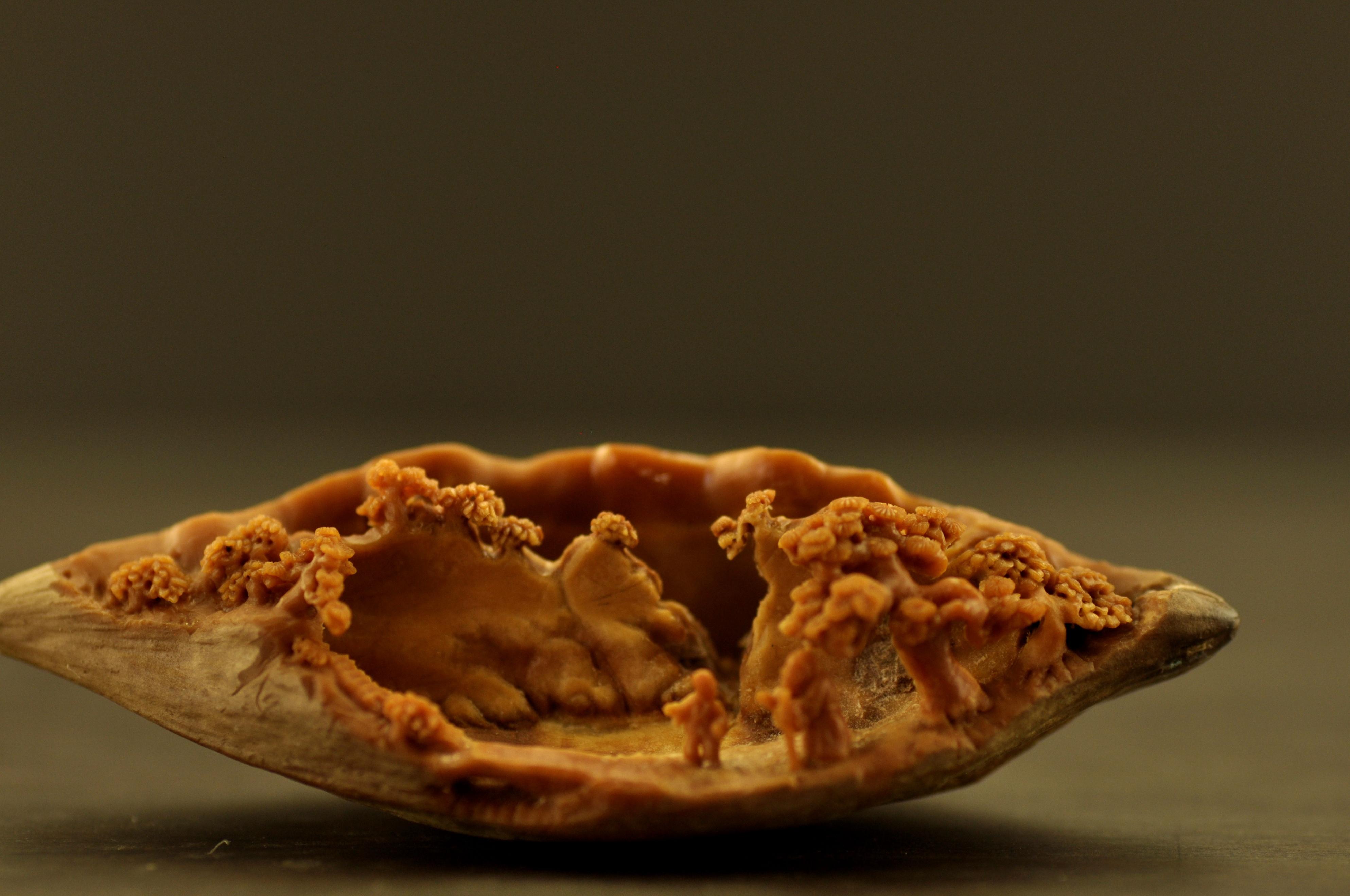 雕刻|微雕天花板：刻舟、鬼工球