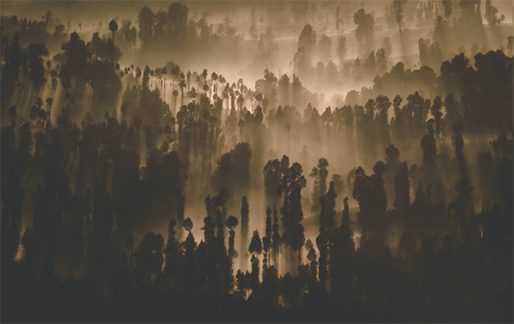 |啥月份出生之人，做事雷厉风行，出头之日即将到来，成为人生赢家