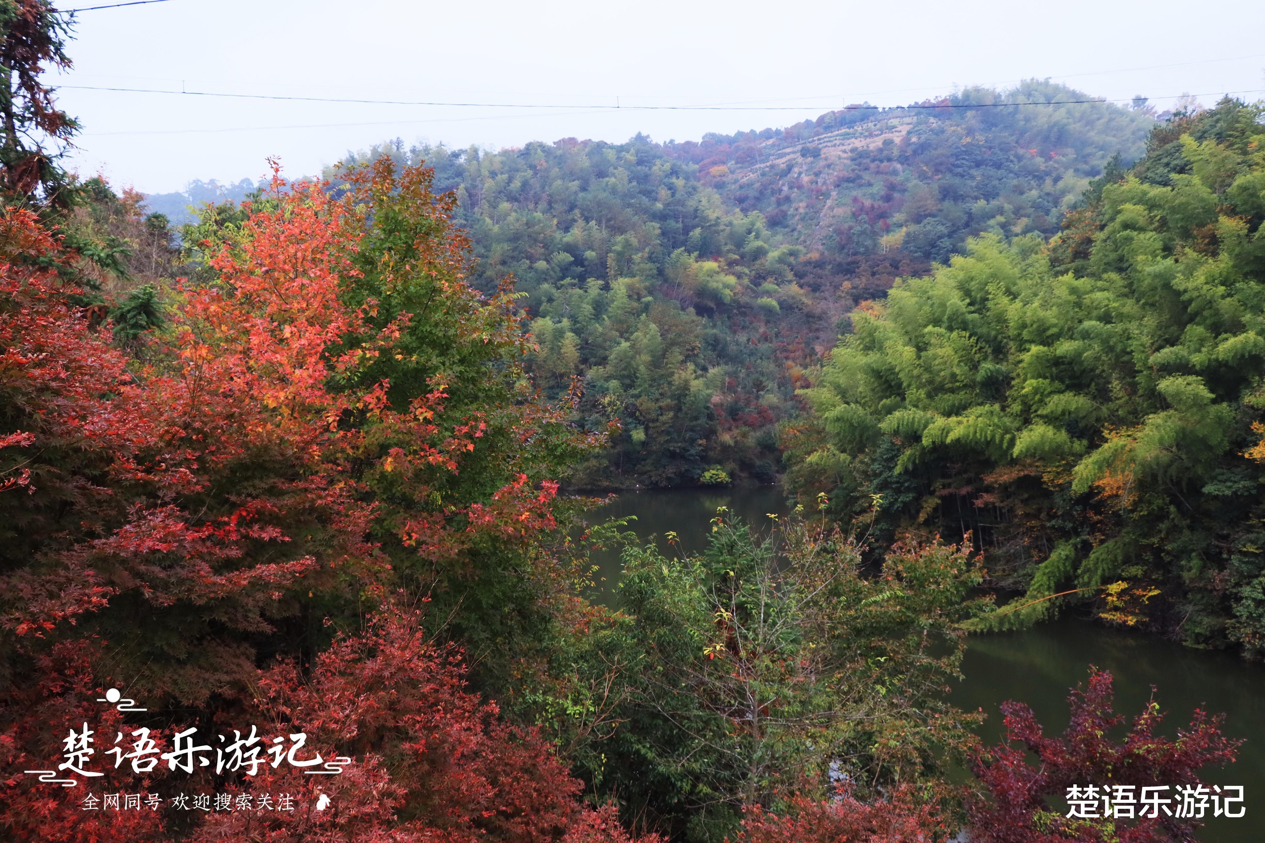 浙江省|藏在浙江雪窦山下的古村，因美龄小道而出名，秋色如画却少有人来