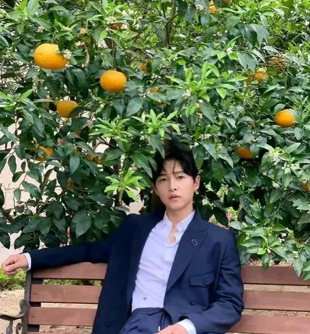 陈乔恩|一天4个瓜:两对新人结婚,巨星家中遭窃,老牌综艺停播,真热闹