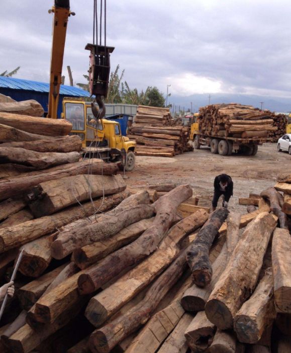 红木|红木市场最热门的8个品种,你知道几个?