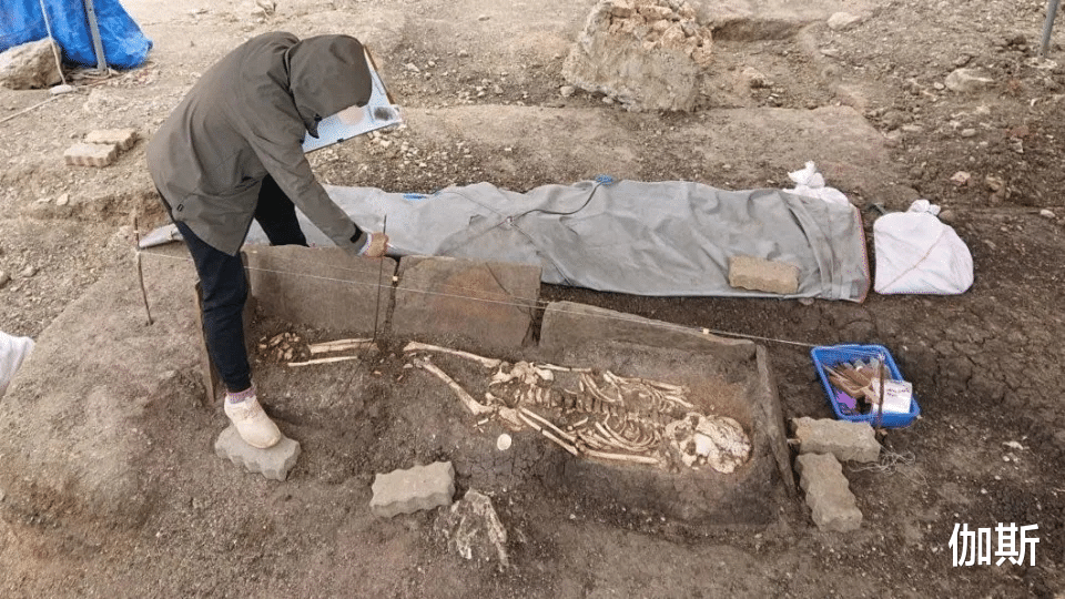 垦丁鹅銮鼻公园挖「51具人骨」!白头骨碎裂4千年前古墓出土
