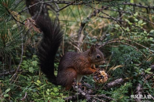 |跟一个互联网工作的人聊天,才知道互联网的寒冬有多严重!