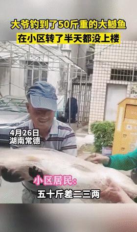 饵料|迷路了？湖南大爷钓到大型水老虎后到处晃悠不回家，网友：失忆了