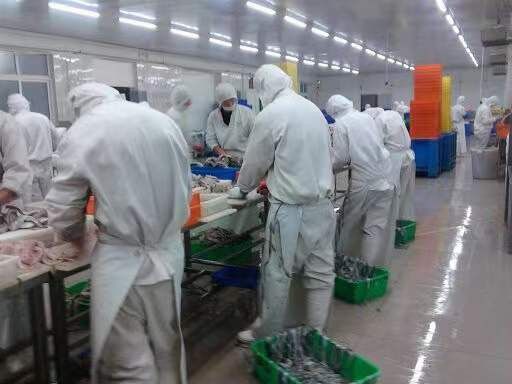 苏州|90后打工人，颠沛流离15年，如今因副业拥有了返乡发展的勇气