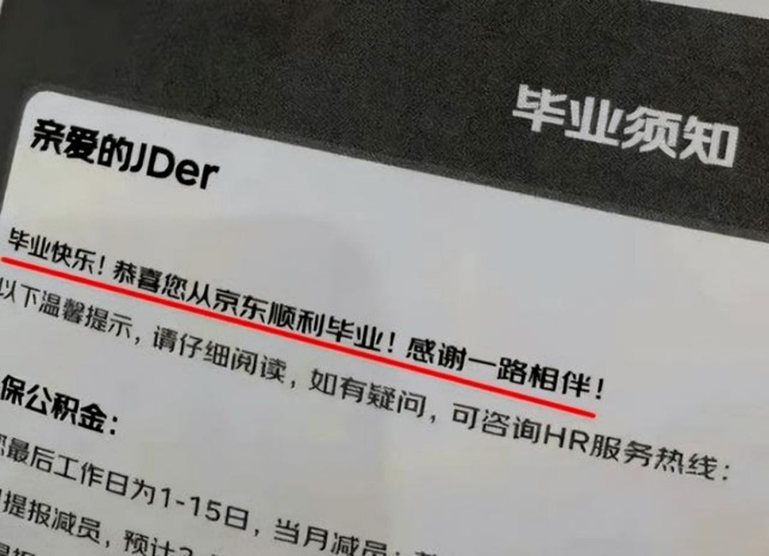 短视频|撤裁东南亚业务,京东国际为何要“自断一臂”?