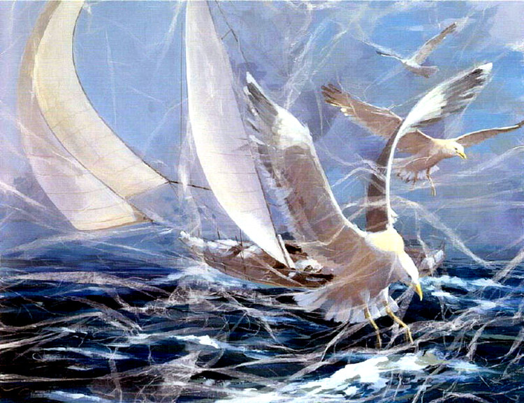 海边|阳光明媚的海边，微风和煦, 四季花开，一起享受这舒服的阳光吧