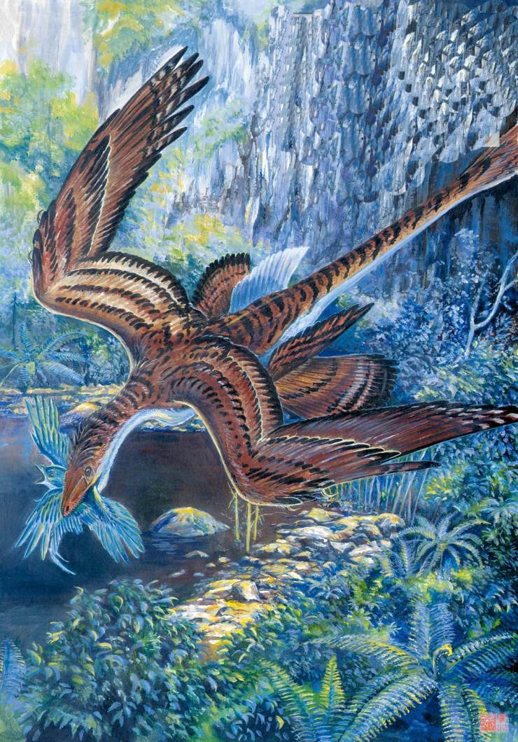长达19米？新疆发现两恐龙新属新种，盘点5种意义重大的中国恐龙