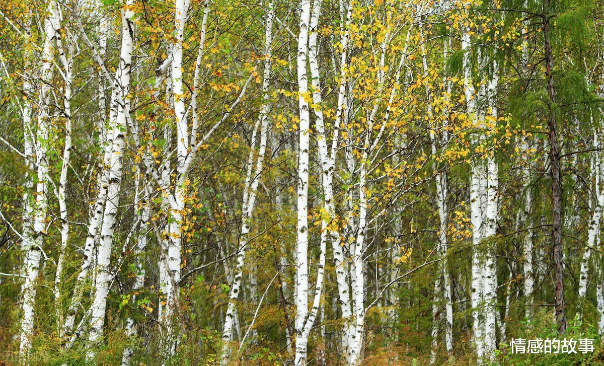 风光摄影的秘诀,你学会了吗