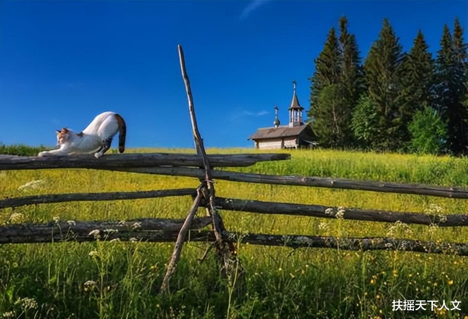 丽江|田园牧歌的生活,50张风景照片带你一起走进俄罗斯村庄的夏天