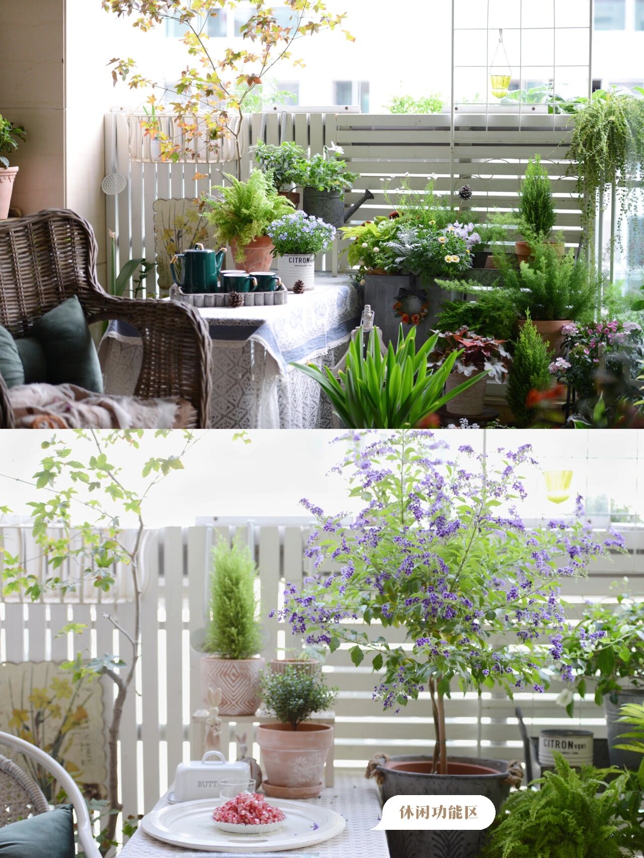 没有大院子,14㎡方寸阳台也能打造“四季小花园”,被美到了