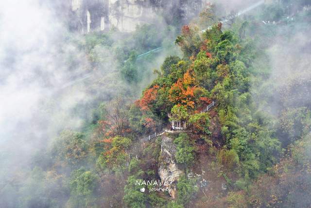 银杏树|金秋登山，在大慈岩寻到银杏秘境