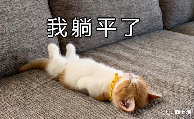 钱江新城|新加坡人多地少但却房价不高,这是为什么?