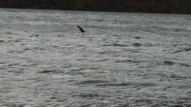 中国湖泊中发现神秘生物，被游客亲自目睹，连专家也无法给出解释