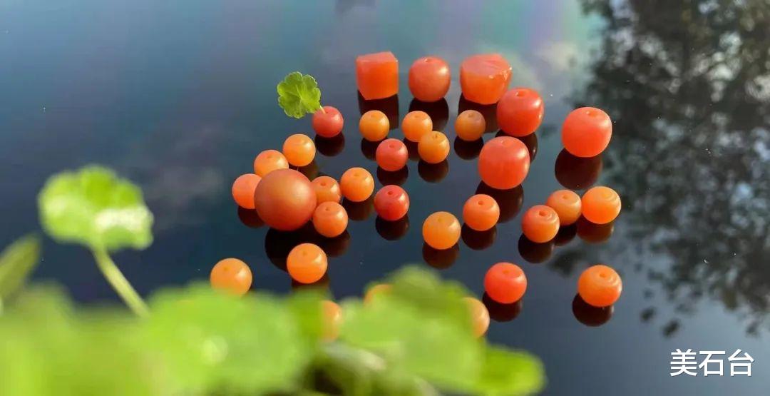 奇石|老藏家很纳闷,精美石头卖不动,一块丢在葡萄架下的烂石头却卖了188万