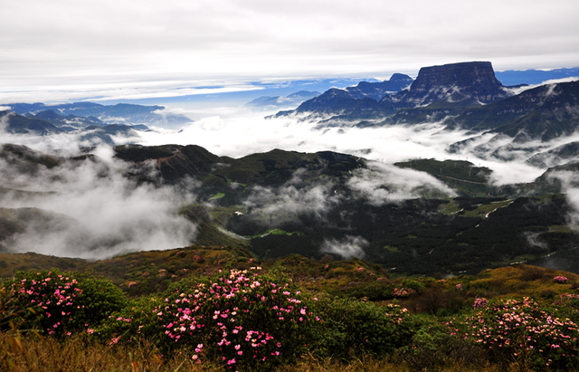 四川省|四川有个小众景区，内藏有万亩花海奇观，门票免费却少有人知