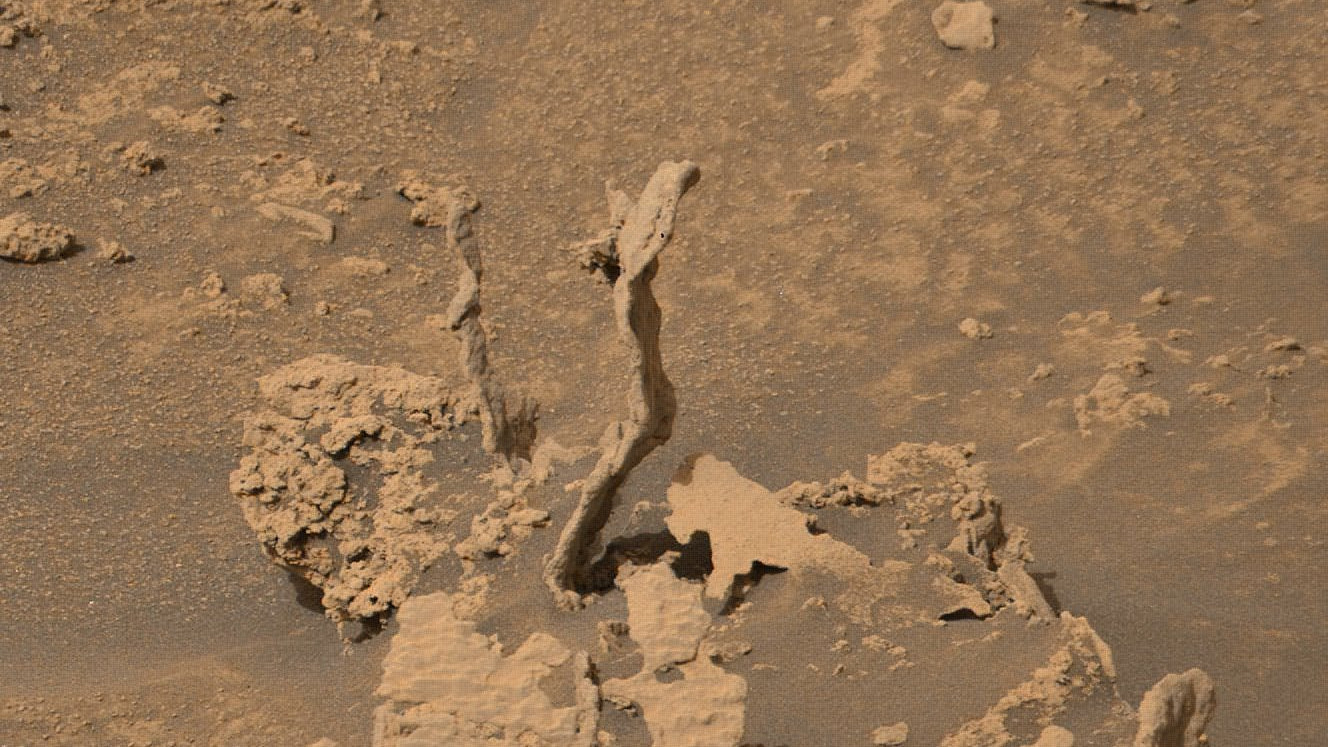 好奇号发现两条“火星眼镜蛇”？SOL3474：似乎正从火星土壤钻出