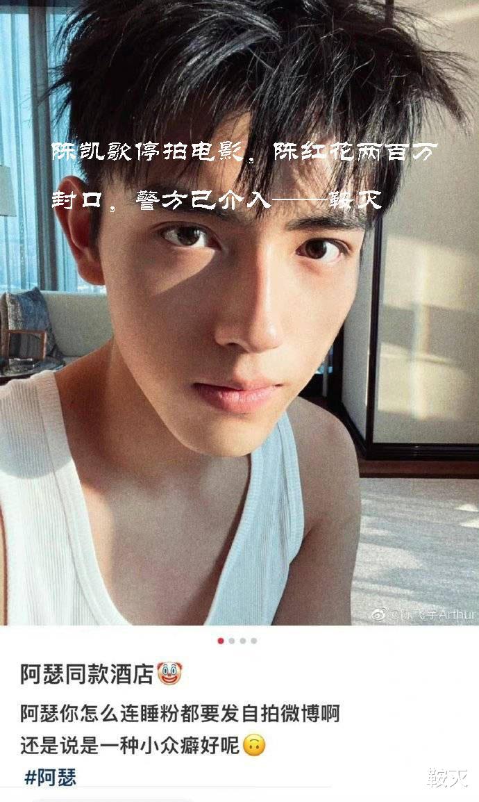 陈凯歌|陈凯歌停拍电影，陈红花两百万封口，警方已介入