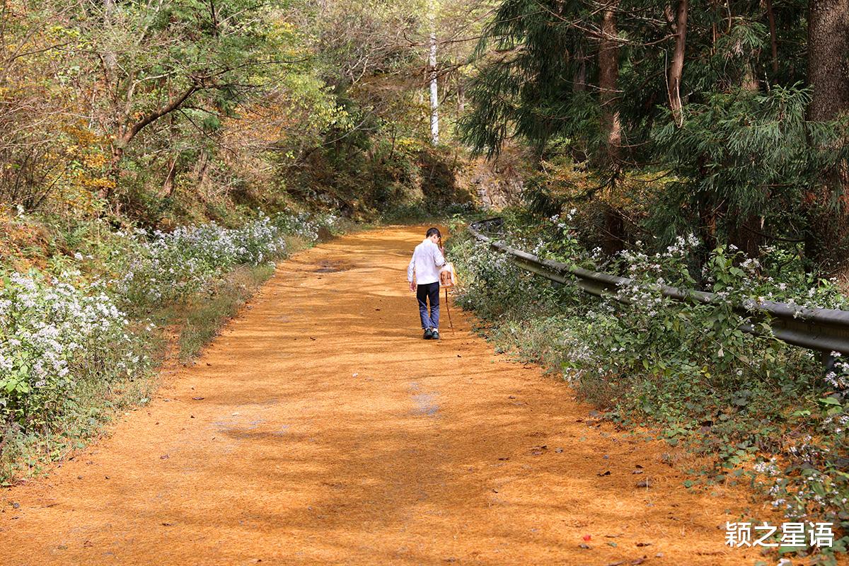 九寨沟|宁波第二条金光大道，走了还想走，赏景不忘植树人