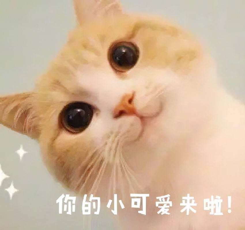 秋冬来了加湿器选购指南——舒乐氏无雾加湿器测评
