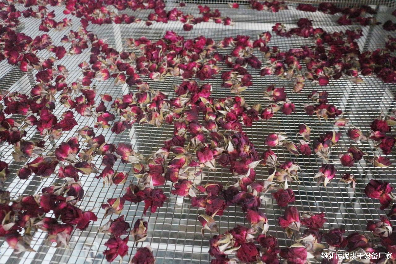 热泵玫瑰烘房设备的特点