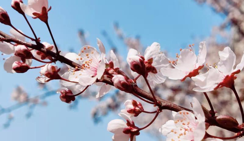 办公室|信任的基础是什么?