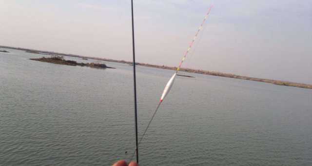 |钓鱼时浮漂为什么会出现“增目”和“减目”的漂相?