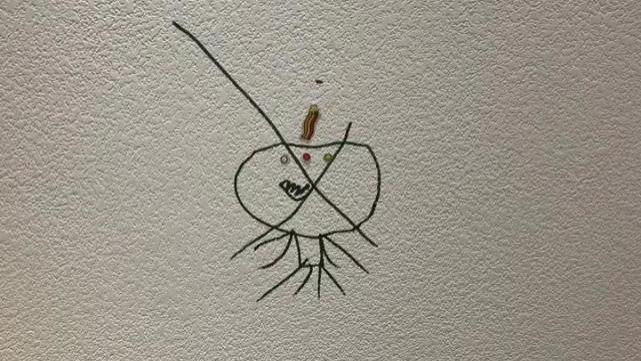 陈妍希|陈妍希晒与儿子日常，星星在白墙上画画，气得她眼含泪水舍不得打