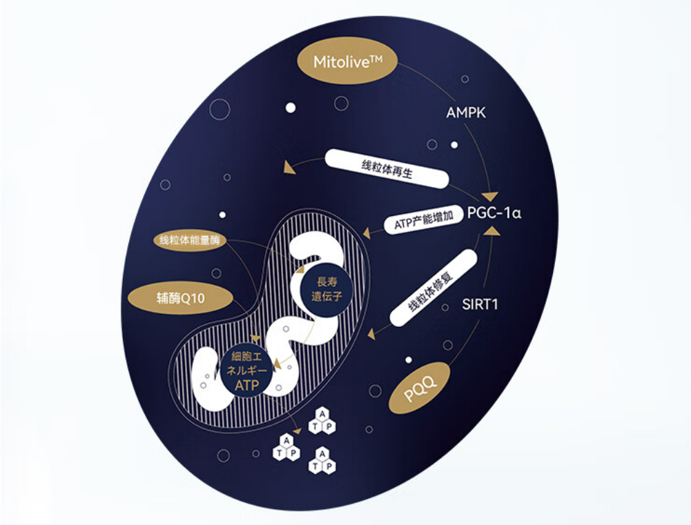 极紫外光刻|制造EUV光刻机真的难,全球仅2个国家掌握技术,比两弹还稀有